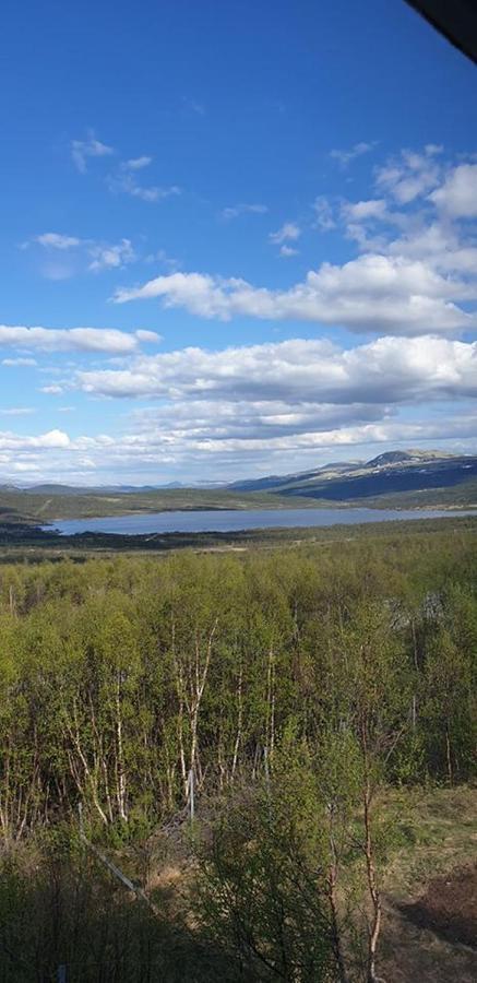Snohetta Camping Hjerkinn ภายนอก รูปภาพ